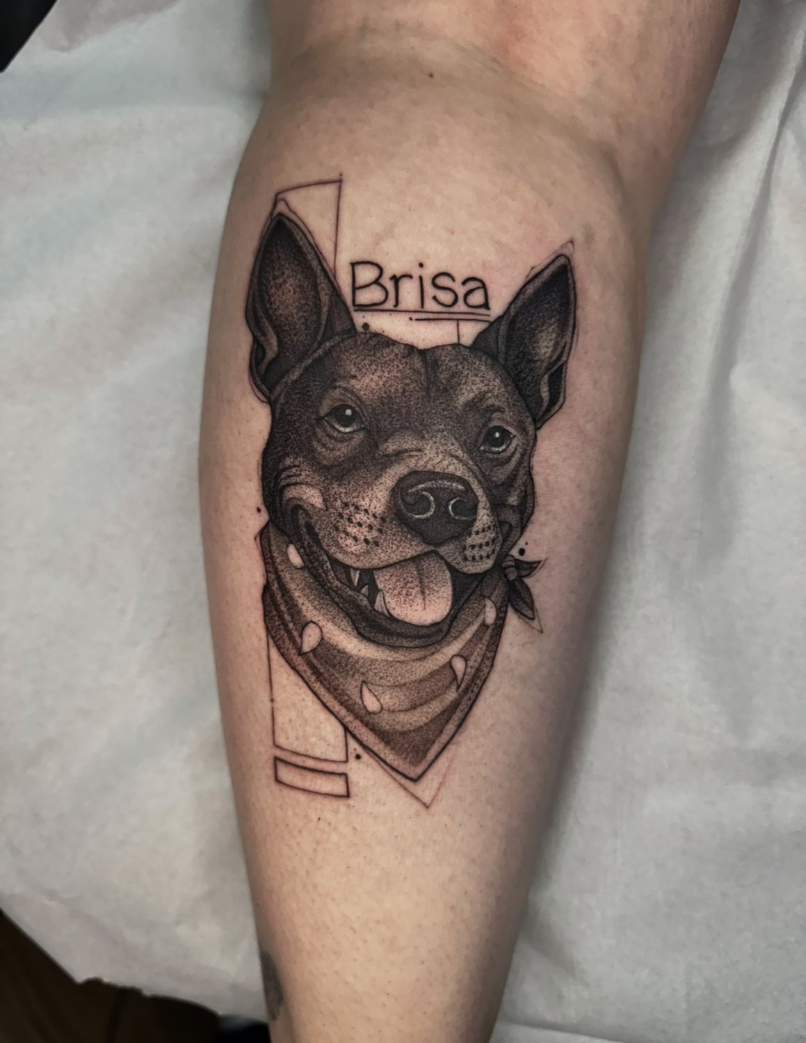 Tatuagem personalizada — retrato de pet